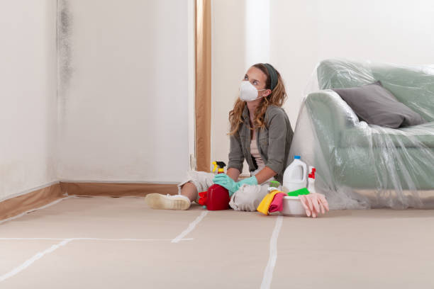 Reliable Basement Mold Remediation contractor in Glen Mills, PA by WQB Mold Removal